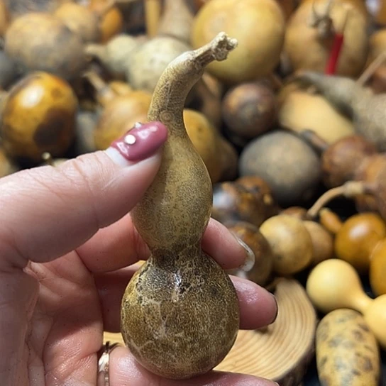 当*葫芦葫芦葫芦葫芦