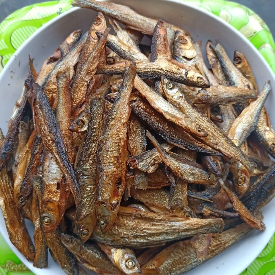 农家制作小河鱼【清背鱼】贵州特产老乡自产