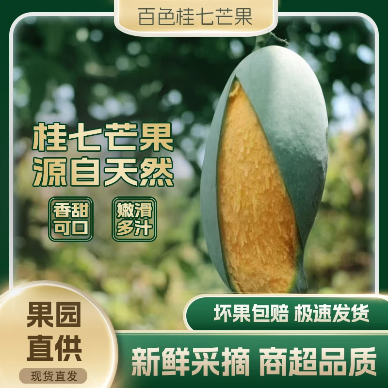 【桂七】广西百色田东桂七芒果老果树当季新鲜水果产地直发