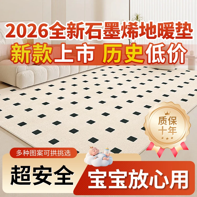 承欢慈轻奢石墨烯碳晶客厅地毯免洗可擦奶油风卧室沙发茶加热地垫