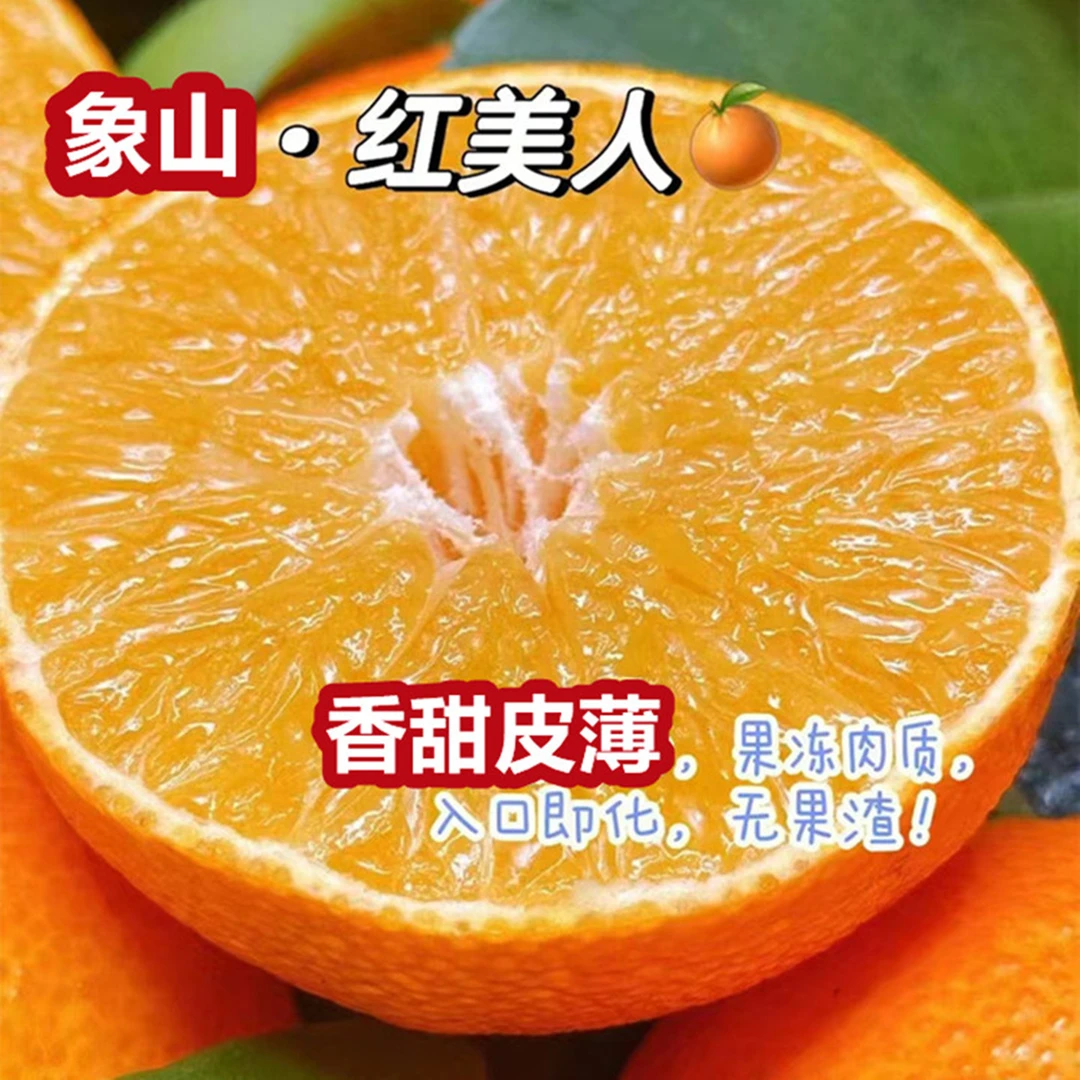 【果园自采】正宗现摘象山红美人柑橘高端水果礼盒产地直发