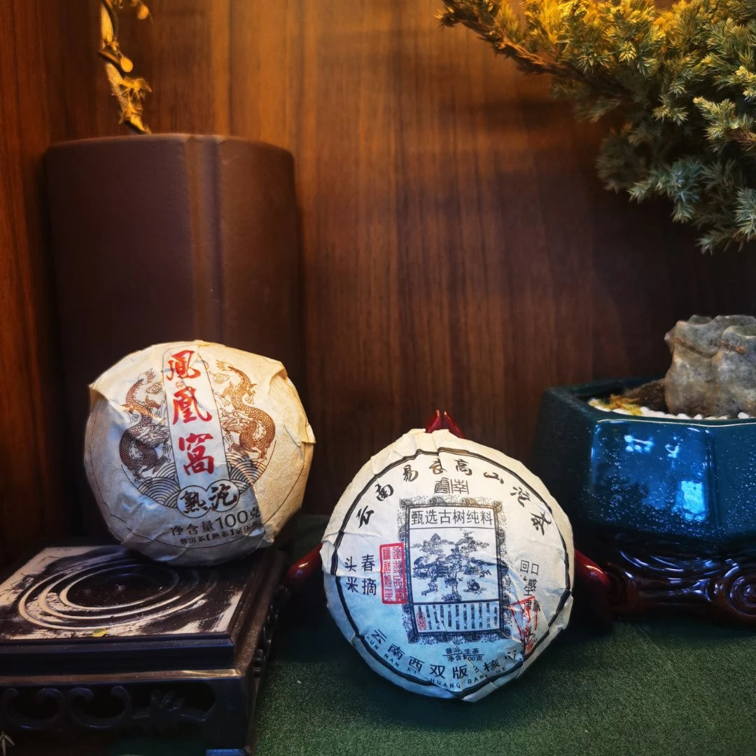 普洱茶生熟茶 凤凰窝熟沱 100g+易武生沱100g ZH410