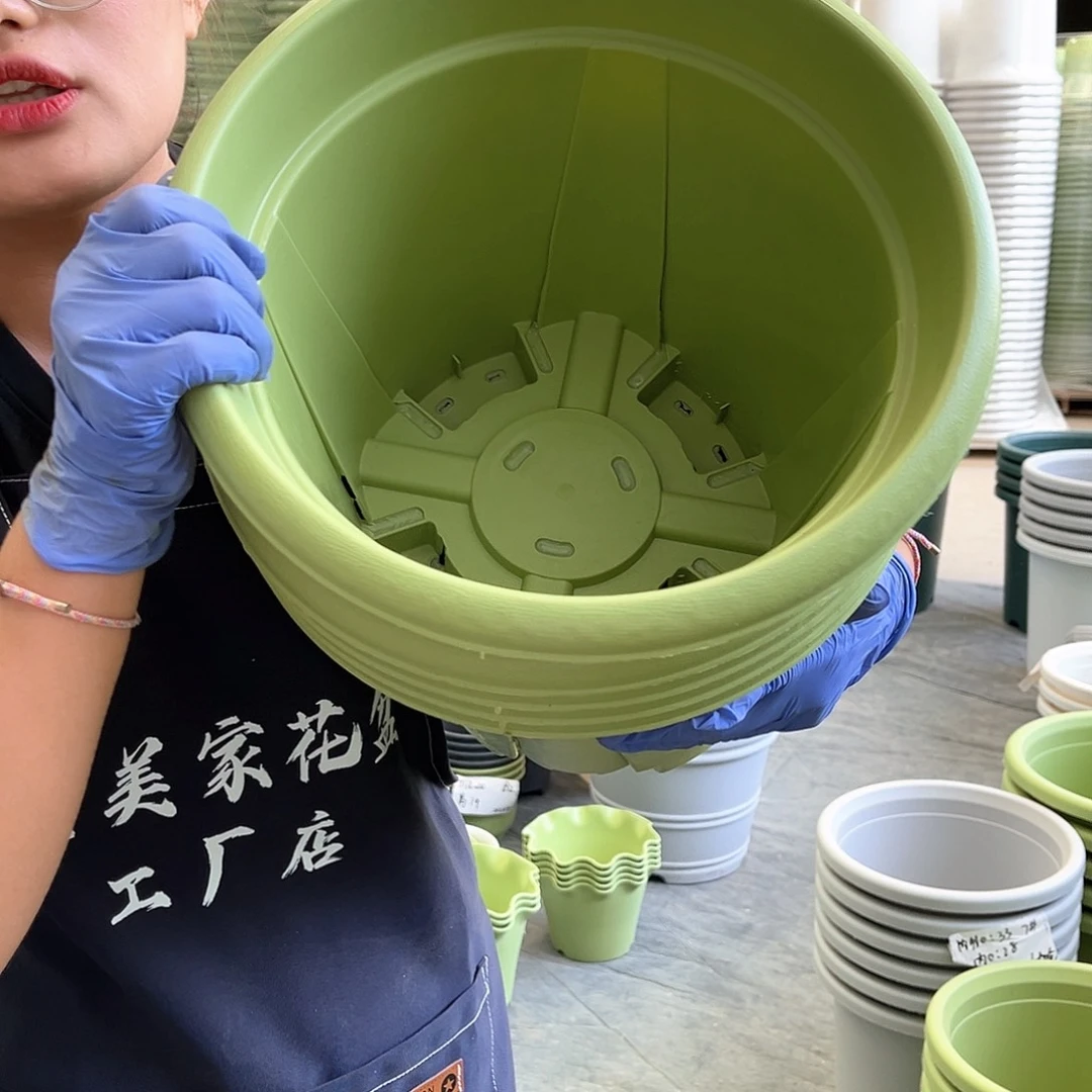 青山盆6#果绿色5个含托