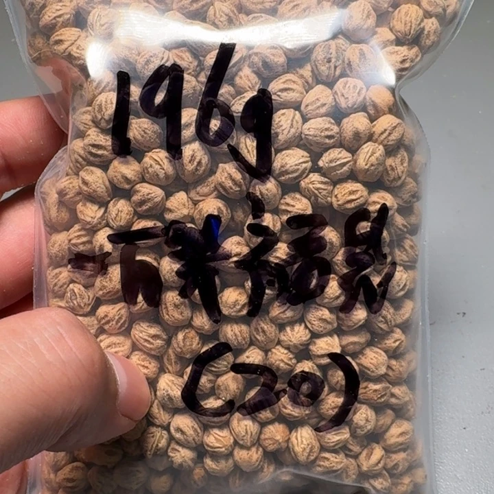 柏香籽/百香籽吊坠✧**鸣