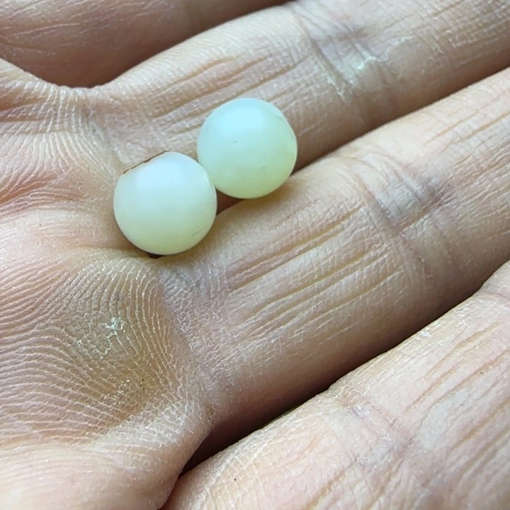 梅***西玛瑙/玉髓合金耳钉玛瑙等天然宝石镶嵌