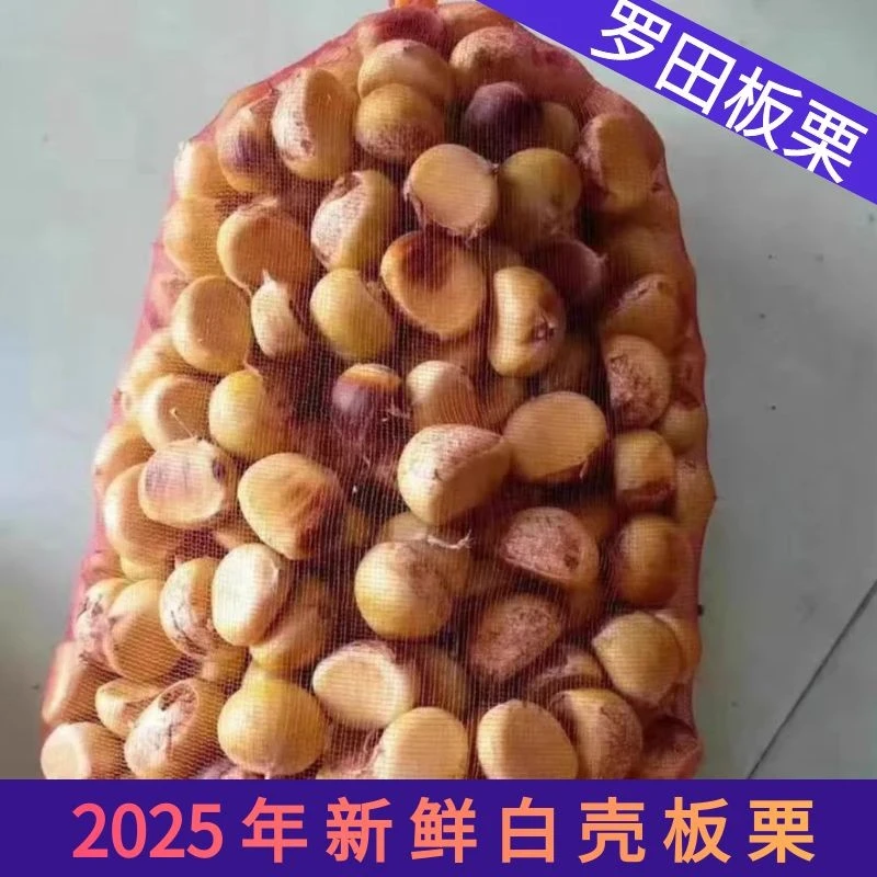 板栗生新鲜2025新鲜下树嫩白花壳罗田栗子现摘现发应季板栗