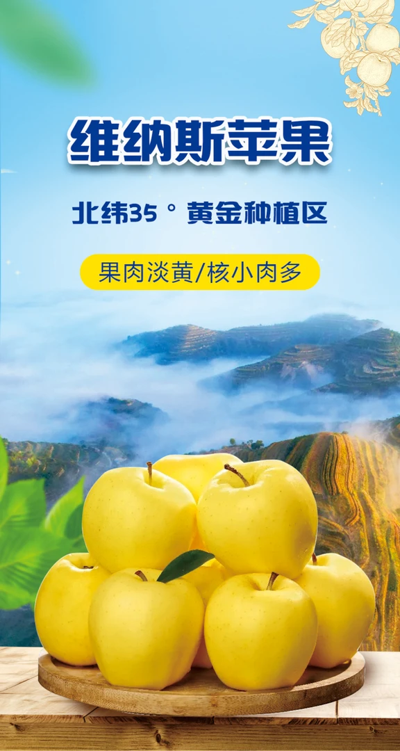 2025年黄金维纳斯苹果脆甜爽口9斤包邮