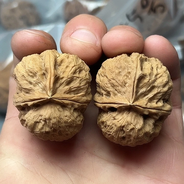 核桃69号三楞38尺