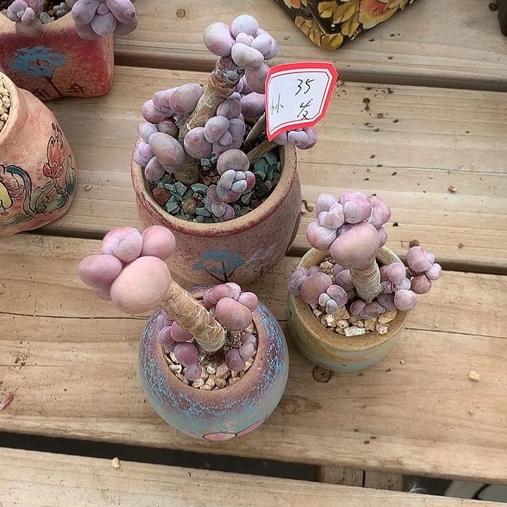 小***嘎大口袋龙触控垃圾桶溜了溜了