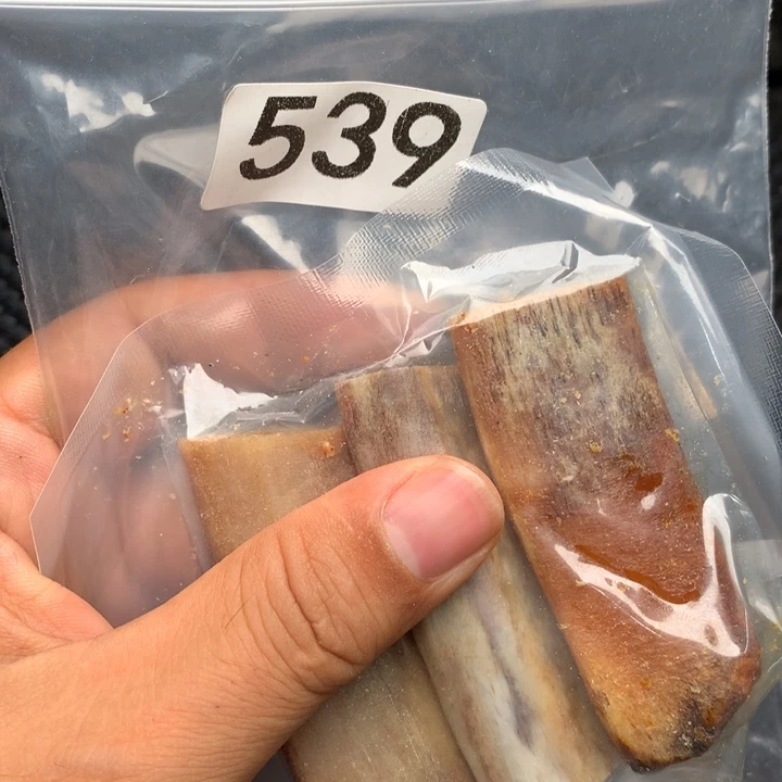 大果紫檀（缅甸花梨）