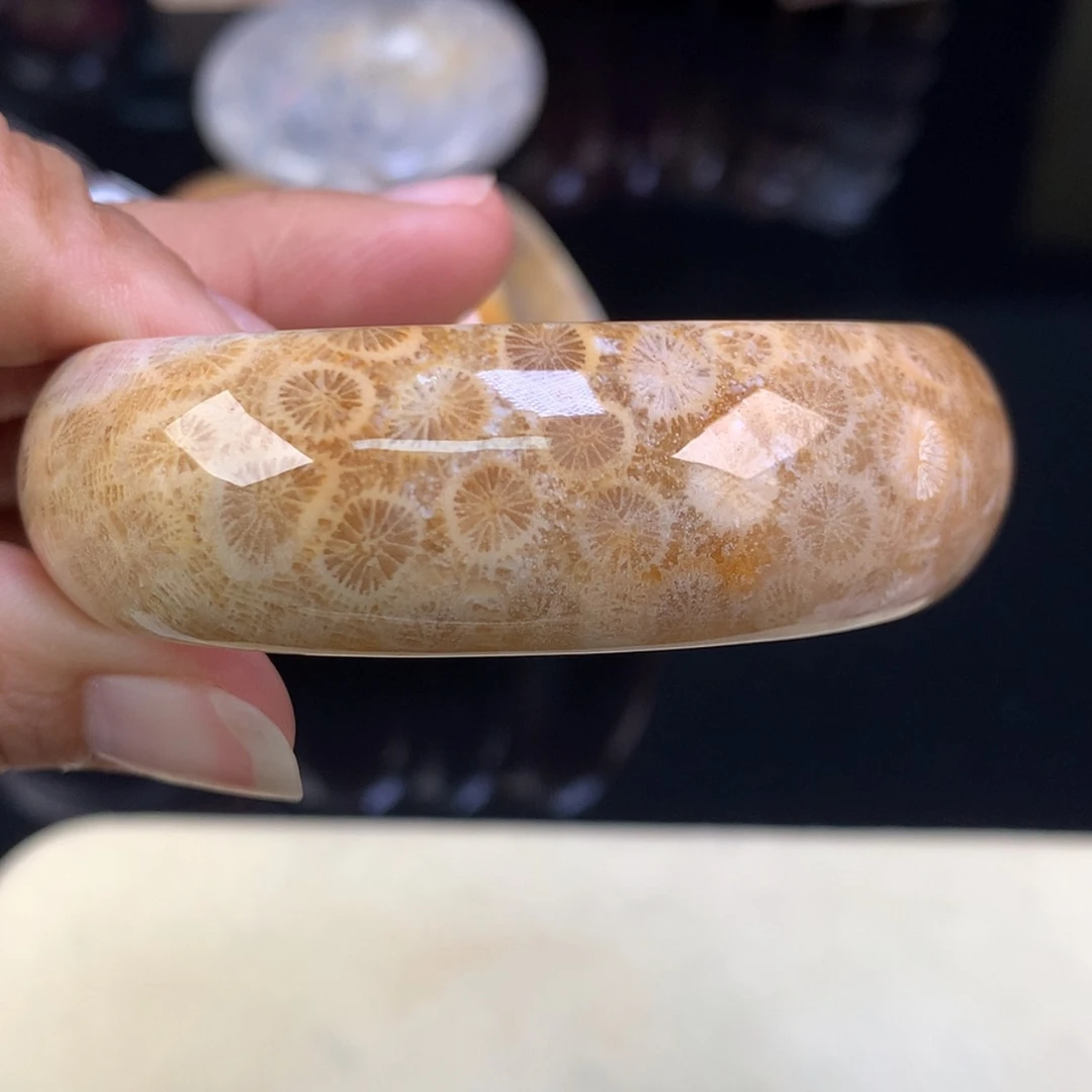 【闪购商品】颈饰未镶嵌硅化珊瑚（珊瑚玉）精美手镯55（11号）