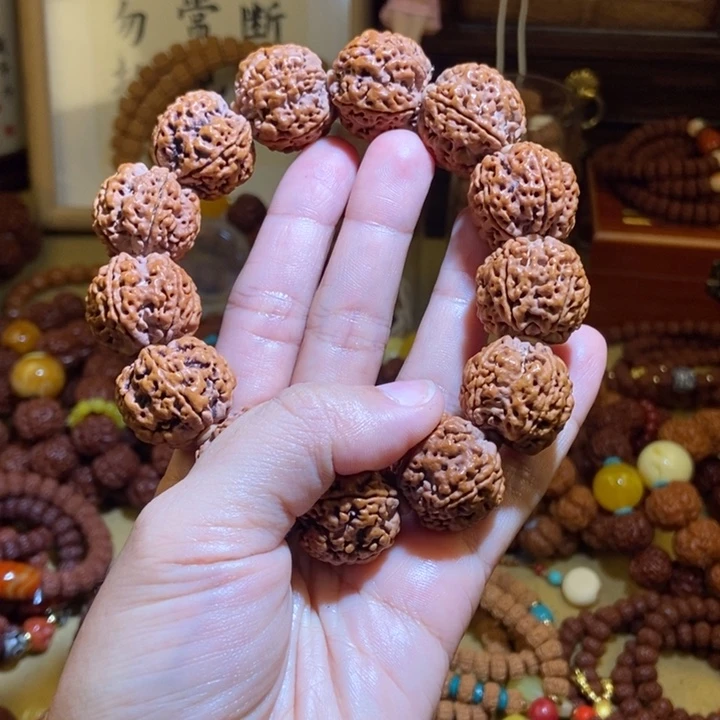 吊坠金刚菩提225原籽一物