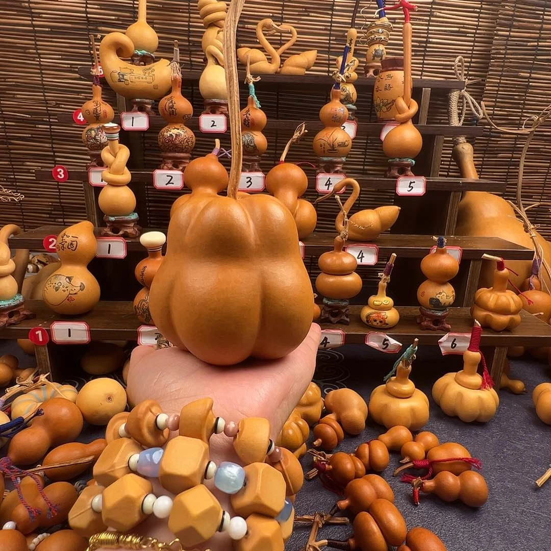 小***丸哈哈哈哈哈哈哈哈哈哈哈哈