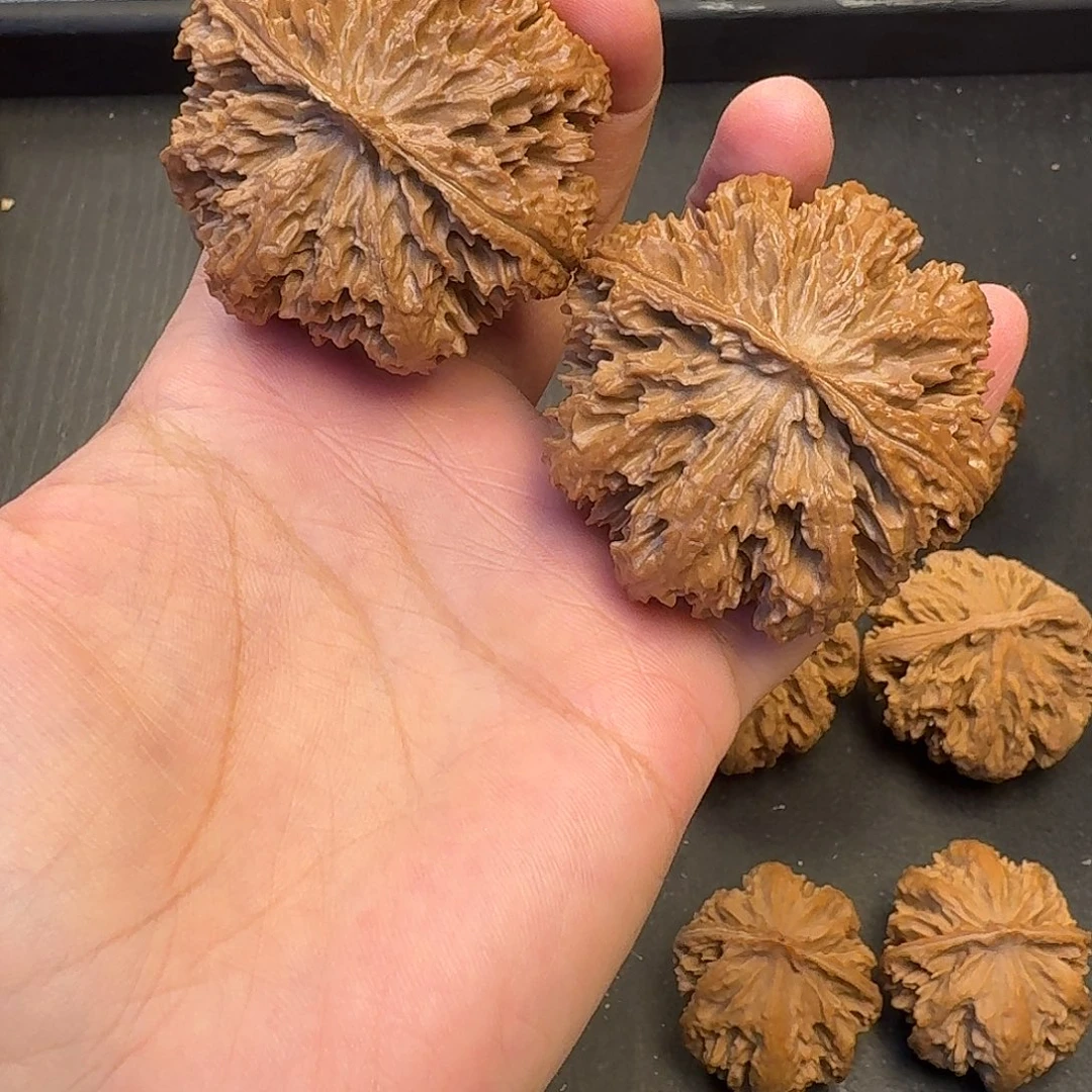 核桃突突突突又突突突突突突突突