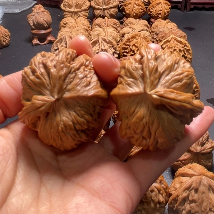 白狮子两棱挂角核桃哈哈哈哈哈哈哈哈