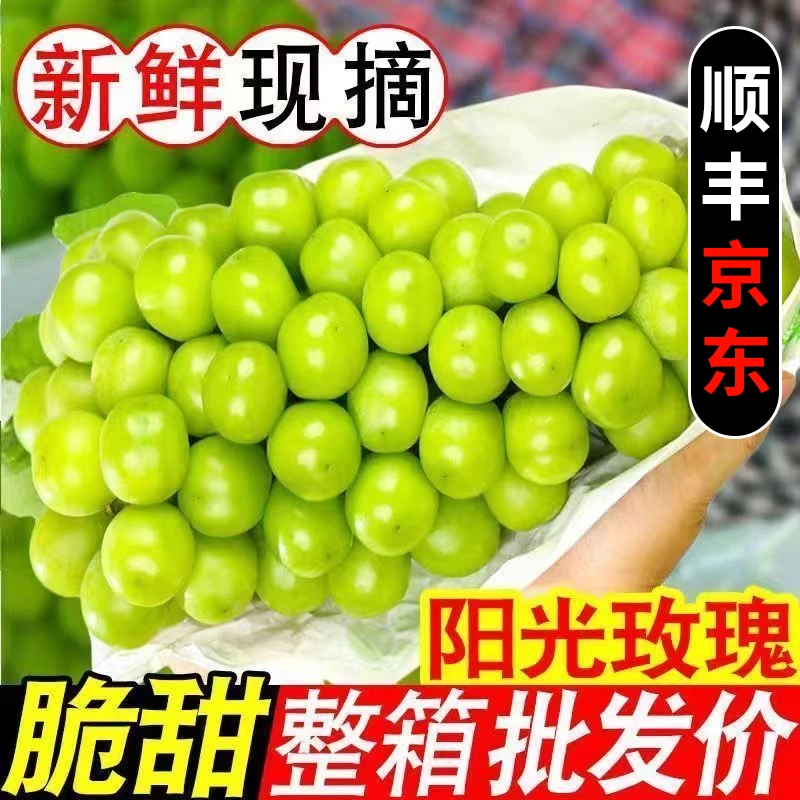 S2【顺丰京东】正宗阳光玫瑰葡萄当季新鲜水果爆汁无核无籽整箱发货