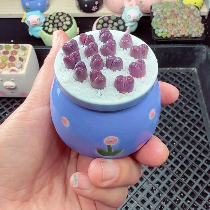 502零下地区记得拍保温箱