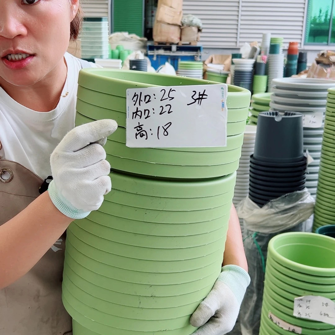 球根盆3#果绿色6个无托