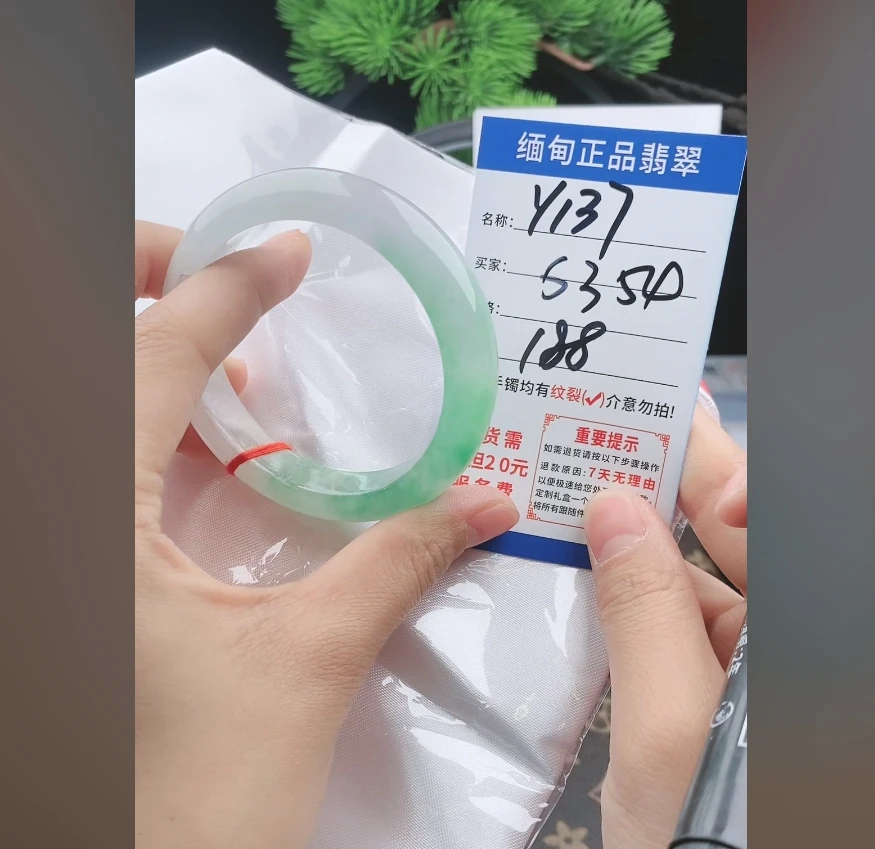 Y137缅甸翡翠处理手镯【一物一证】实物以直播间为准带证书发货