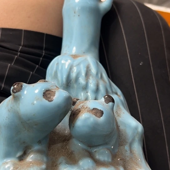 张***城杂色豆（科檀/科特迪瓦檀木）