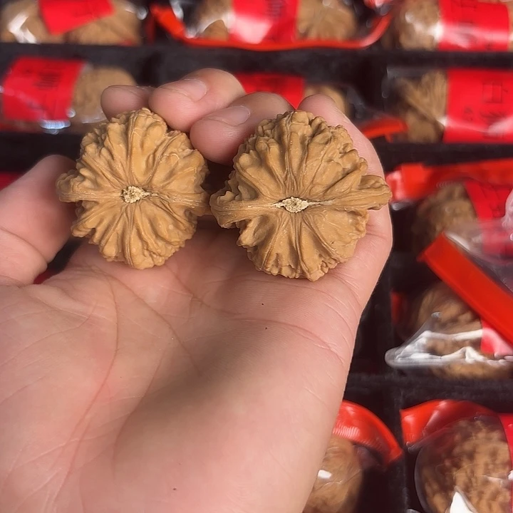 大叶紫檀（黑酸枝木类）