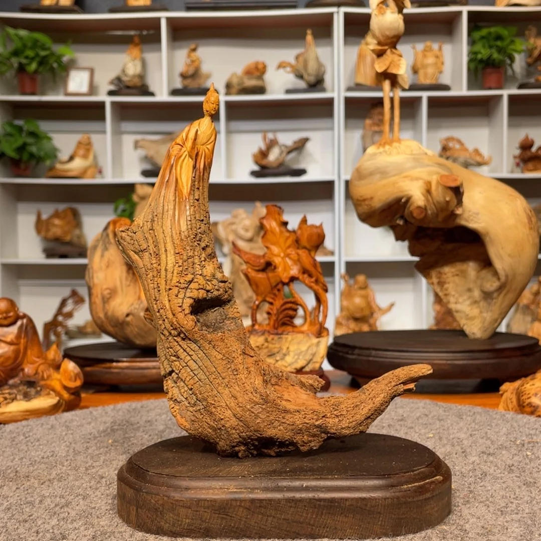 柏木（崖柏）65656565655