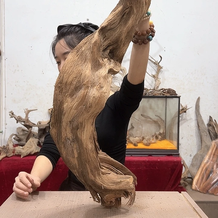 柏木爱***辉我们的生活也