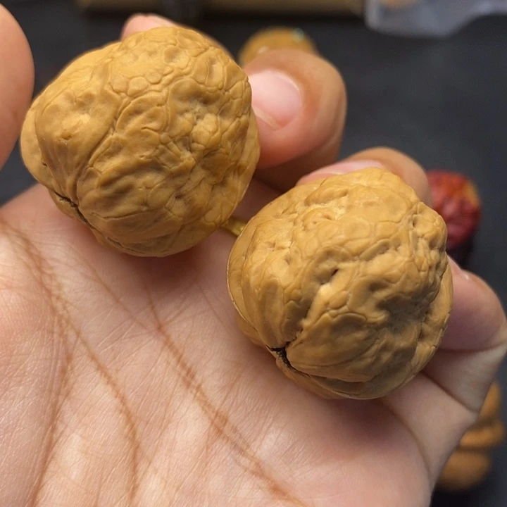 把件文玩核桃31尺金刚鹦鹉