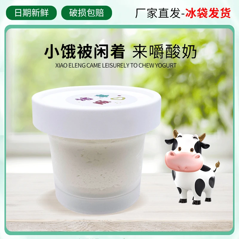 网红冷萃干噎酸奶希腊低温发酵酸奶固体酸奶嚼着吃的代餐酸奶罐