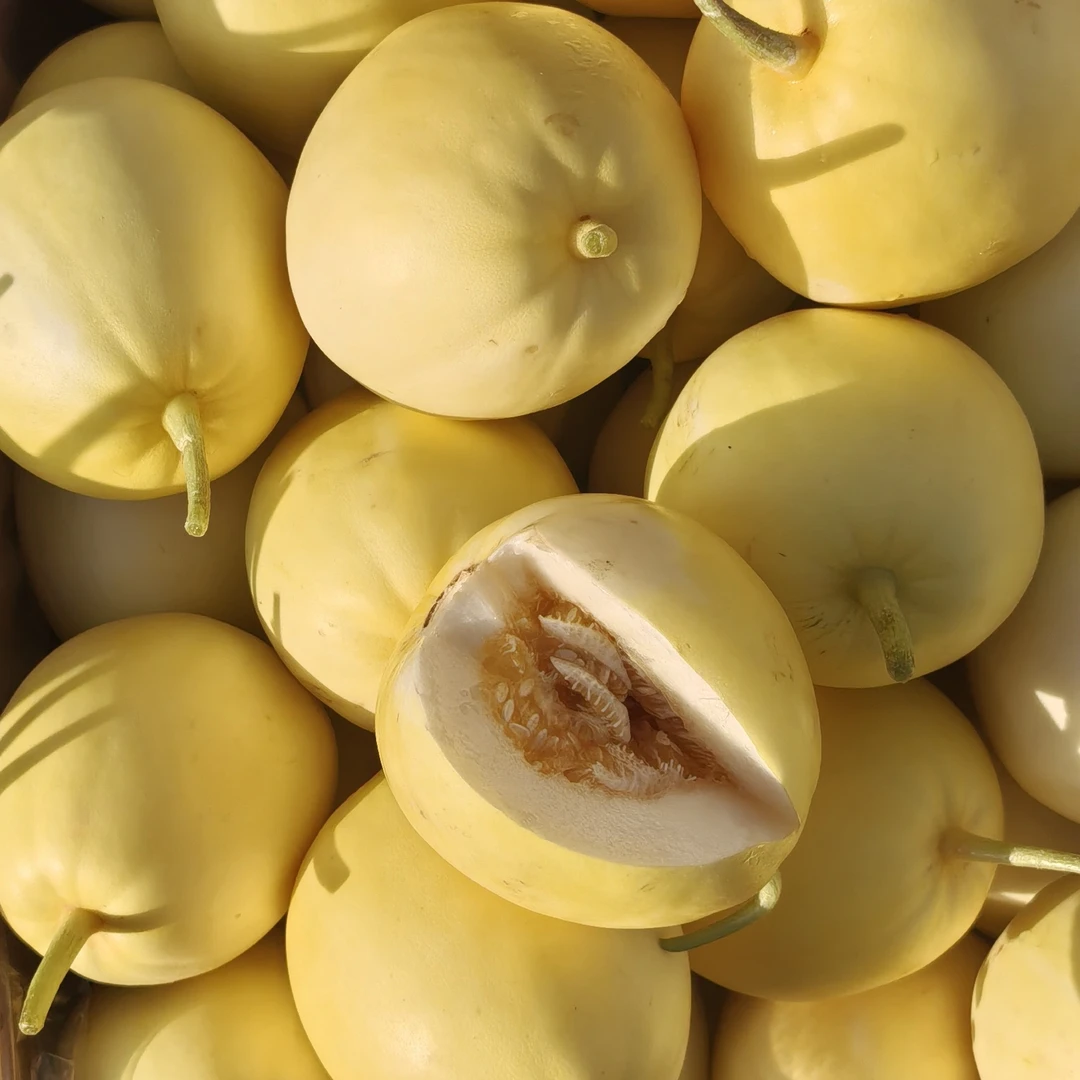 本地白皮甜瓜香瓜4斤约4-5粒