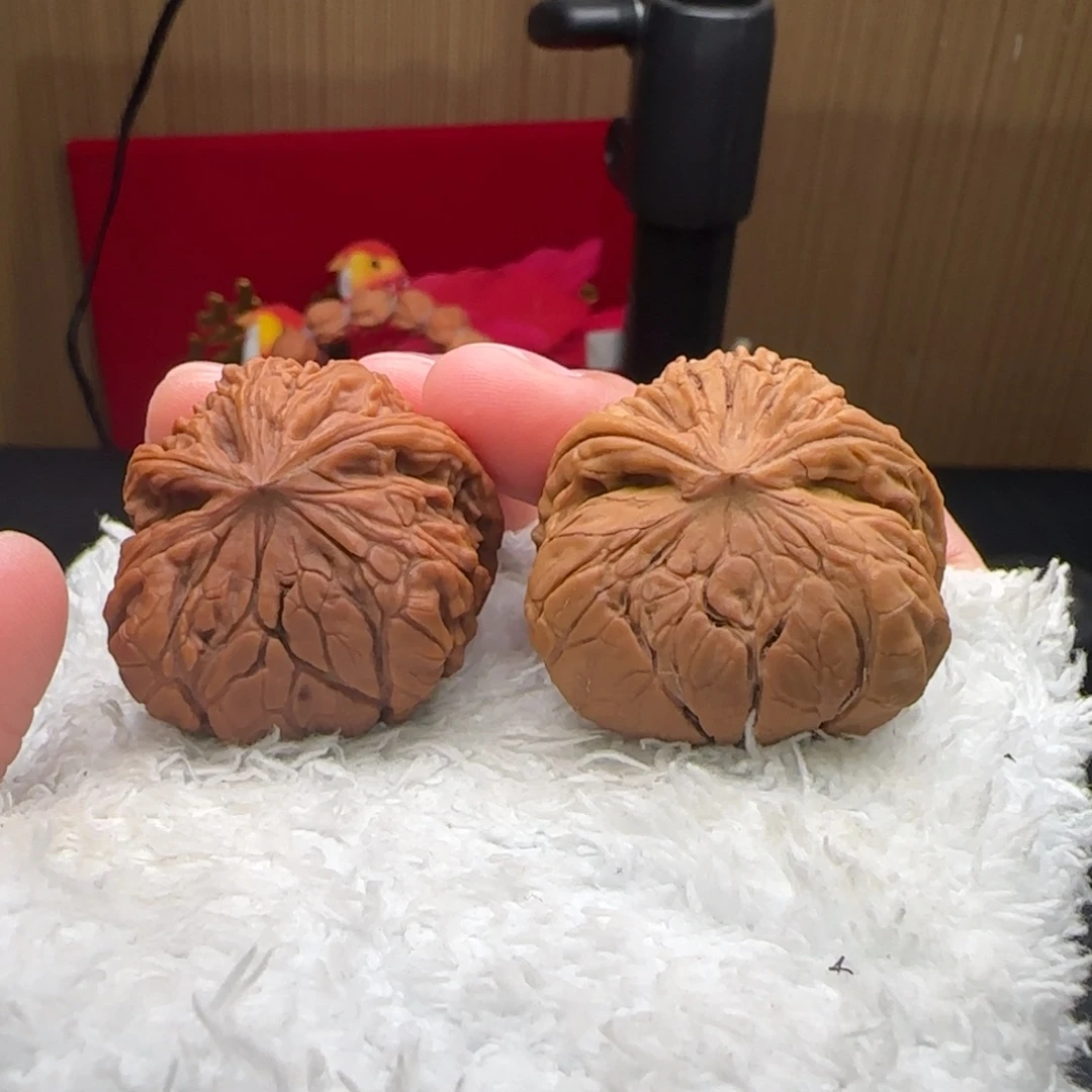 把件文玩核桃南疆蛇全品34
