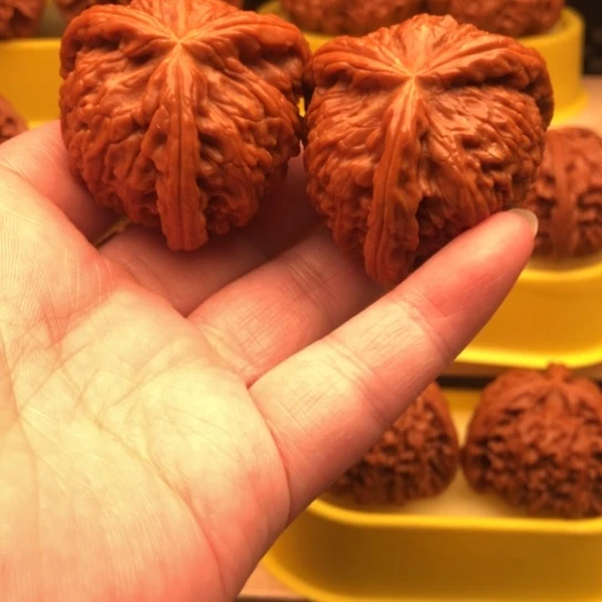 松***韵核桃核桃核桃核桃