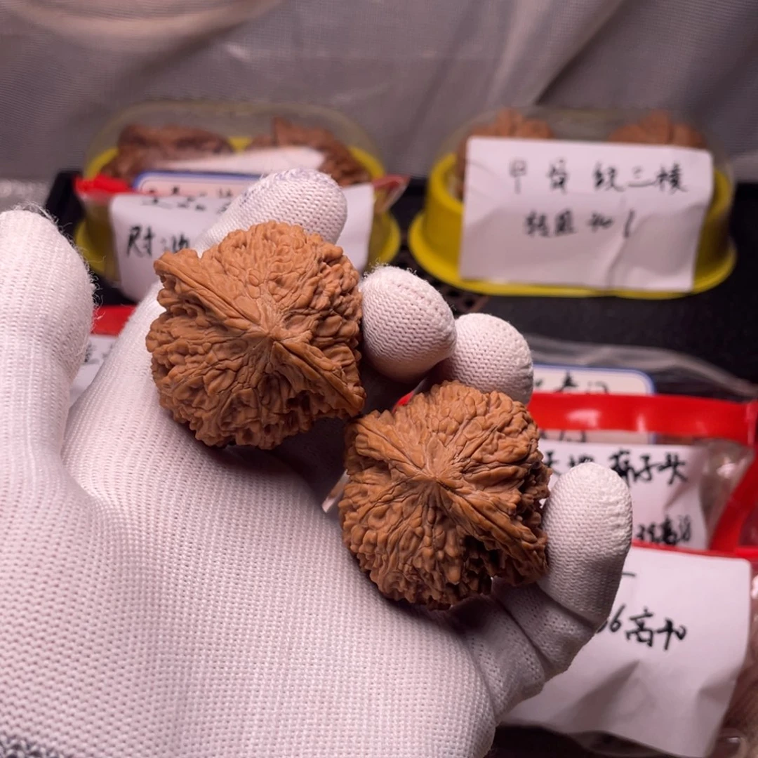 44满天星！！！！！！！！！！