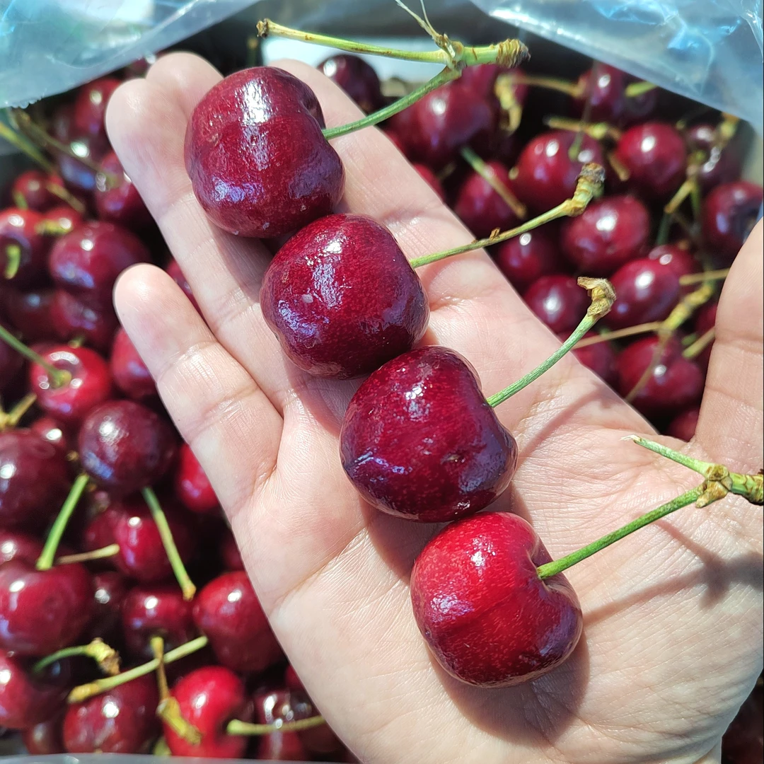 原箱JD纯冰 净果5斤