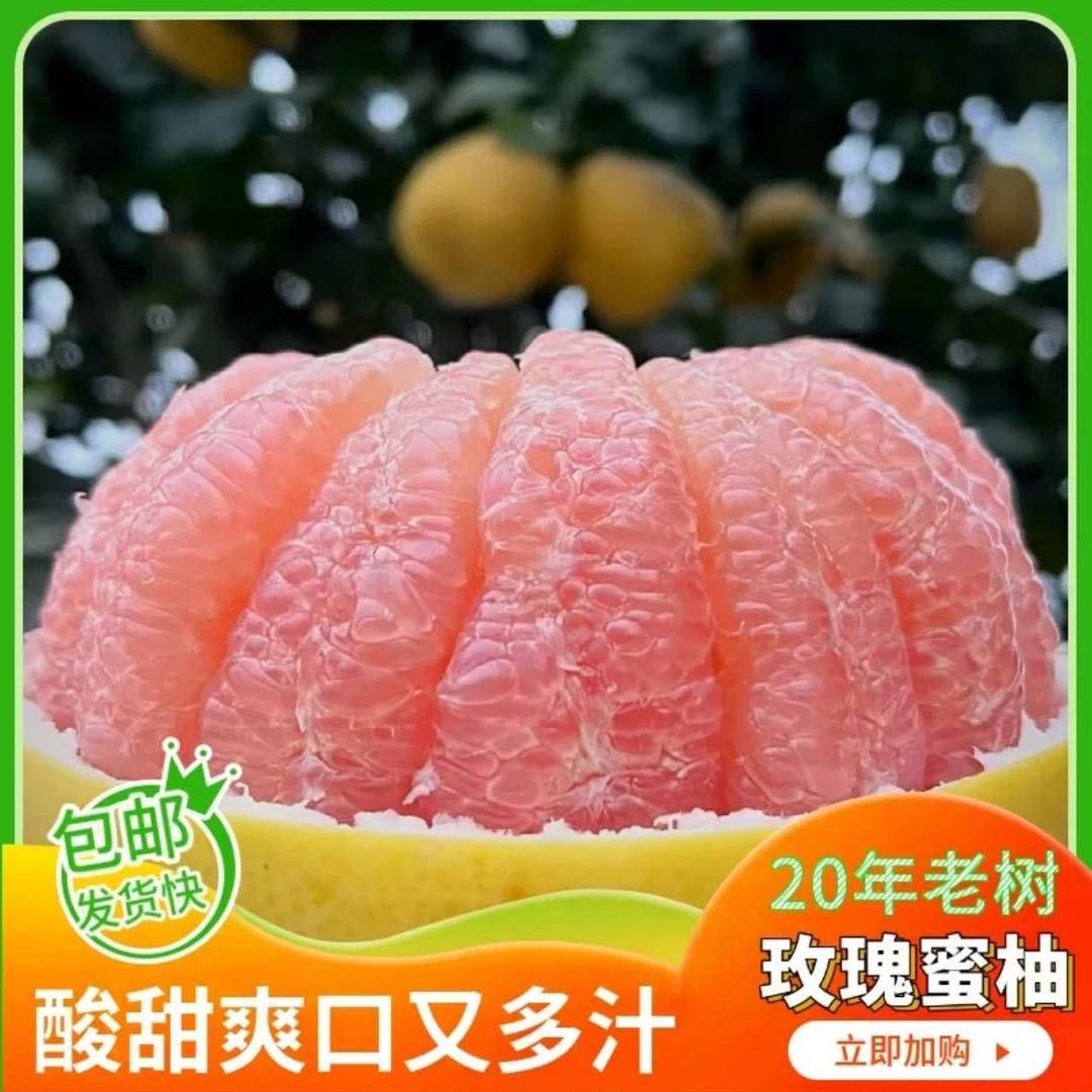 【顺丰快递包邮】高山老树玫瑰蜜柚产地直发新鲜采摘现摘现发