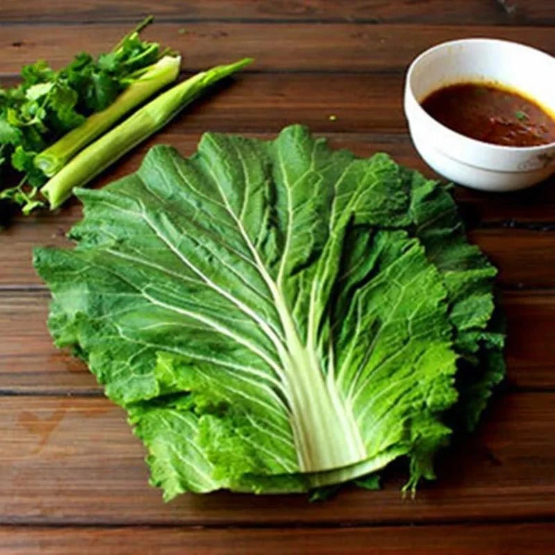 ，新种东北饭包叶白菜叶饭包菜叶子大叶白菜叶打饭包菜叶打菜包菜