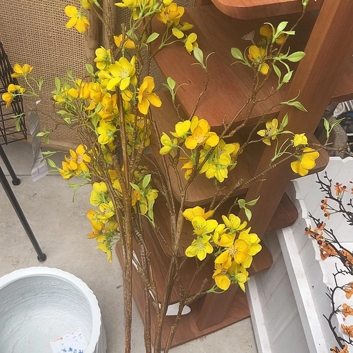 一口价 样品四只福利