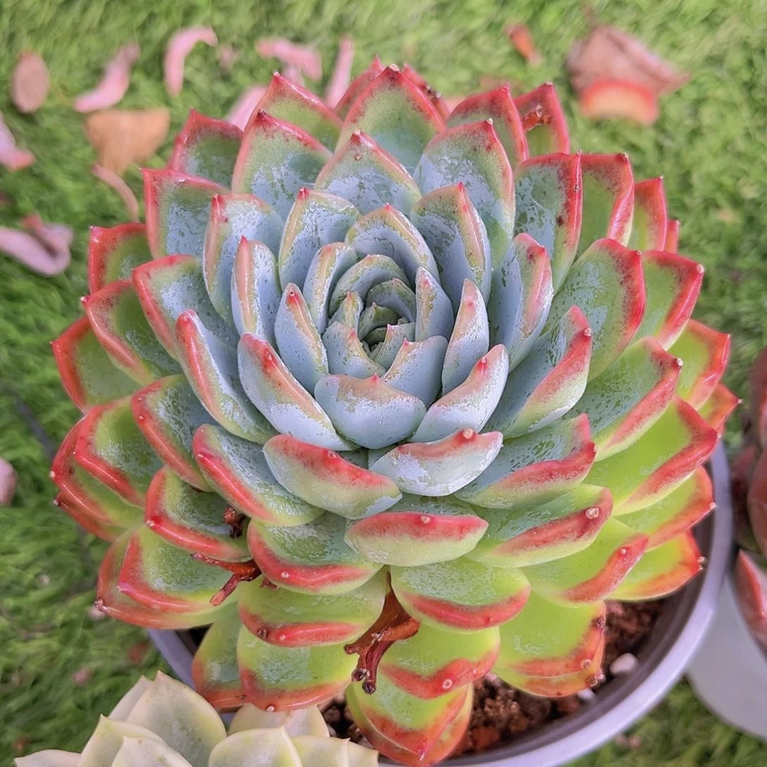 16号888888888888888888