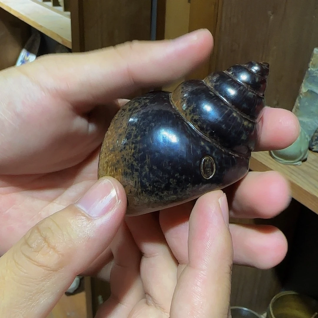 田螺姑娘茶宠茶宠茶宠茶宠