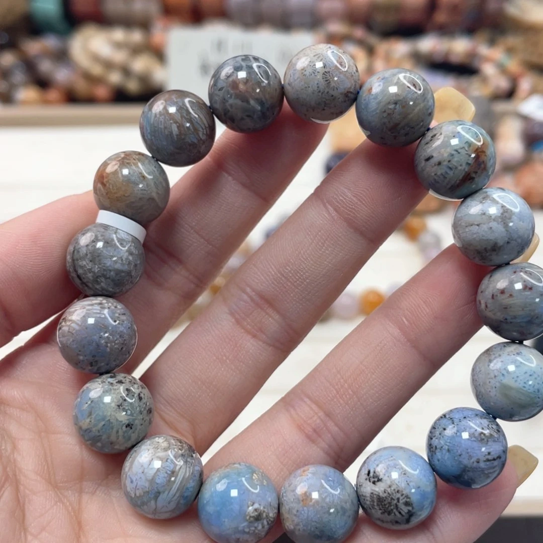 未镶嵌手串硅化珊瑚（珊瑚玉）小*259