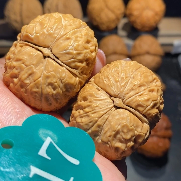 一品元宝核桃尺寸40