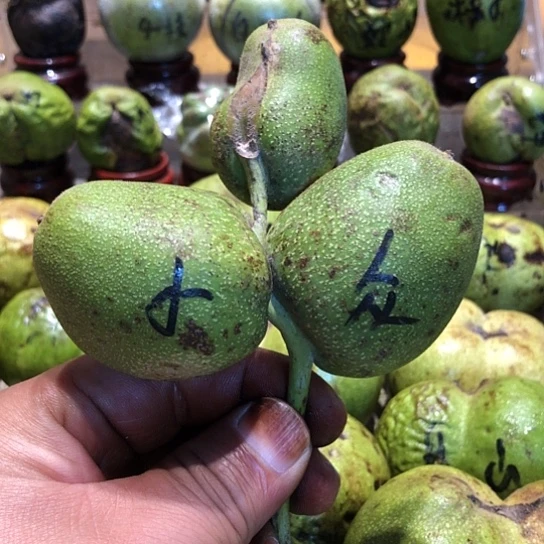 吊坠桃核核桃核桃