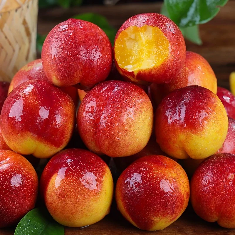 山东蒙阴蜜桃头茬红油桃 产地直发 甜润多汁 新鲜水果顺丰直发