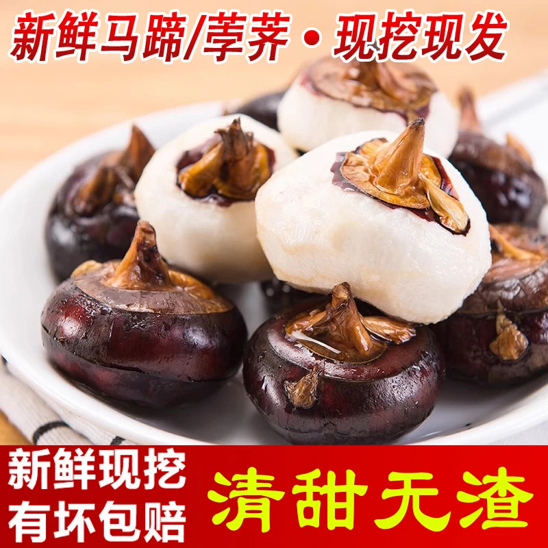 顺丰湖北新鲜大马蹄新鲜荸荠蔬菜水果地栗地梨子农家自种现挖现发