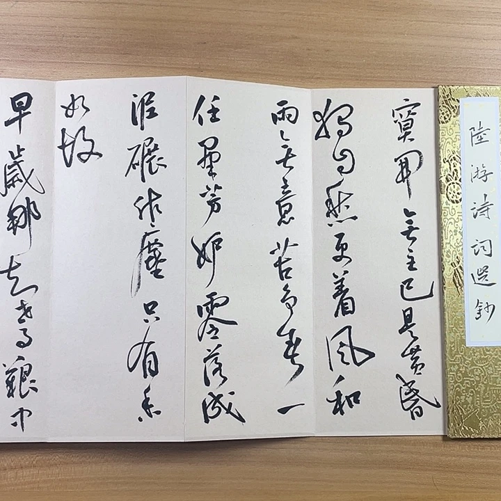书法中书协会员作品