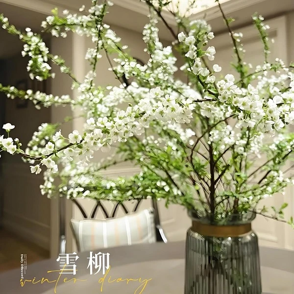 【新疆包邮】10根雪柳干枝水养水培室内花卉好养活泡水生根好开花