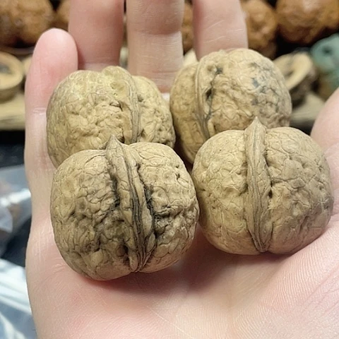 文玩核桃把件独***j蛇皮球两对没清理34