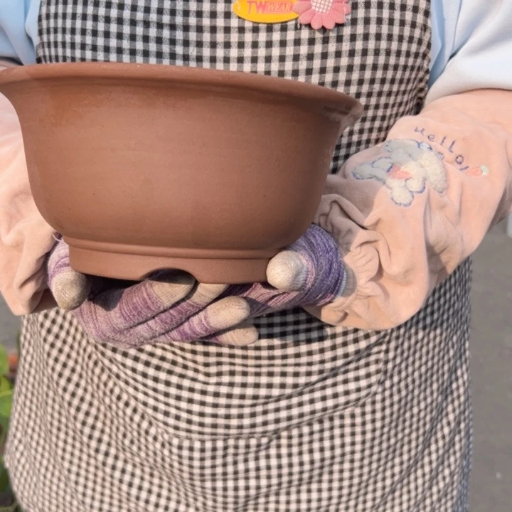 22茶林小碗花盆花盆花盆花盆