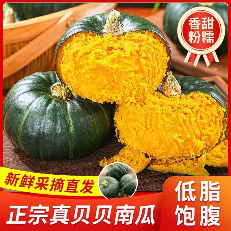 沙地贝贝南瓜粉糯香甜板栗味适合宝宝辅食粗粮代餐