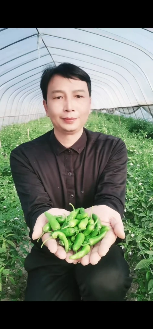 【青石精选】余干枫树李家辣椒（辣椒个头小无皮无渣特别鲜香）